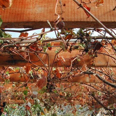 Ferienwohnungen Fritze Buerger Schiefling am See Εξωτερικό φωτογραφία